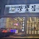 뚱삼집