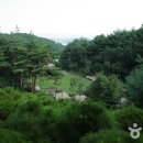 국립칠보산자연휴양림 이미지