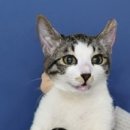 비슬로361길 이미지