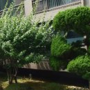 동원타워맨션 이미지