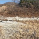 회신마을회관 이미지