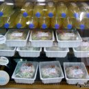 보영식당 이미지