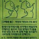 솔릭 대비 우비산 후기 우익주의(미방) 이미지