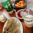 둥지포차 | 둥지실내포차 생새우 후기 | 신선도 최고! 탱글한 식감에 반하다