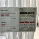 제주 노형동 피부관리 스킨어스 에스테틱 후기