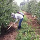 장수읍사무소 이미지