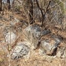 인선공인중개사사무소 이미지