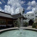 담양을 담다 | ☕ 담양 대형카페 ‘담다’ 솔직후기💬 베이커리·루프탑·분수까지 다 있음!