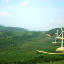 서진목장 이미지