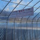 파주스타디움 보조구장 | 파주 스타디움 실내 러닝 트랙, 동계 러닝 구장 이용 후기