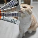 마루덴탈 | 닥터맘마 기능성 츄르 스틱 | 마루가 매일 먹는 건강 간식