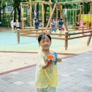 용인대 타이곤 태권도장 이미지