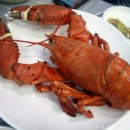 유정호대게