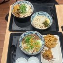 서울우동식당 | 잠실 롯데월드몰 맛집_일본 분위기 식당 마루가메 우동 후기(내돈내산)