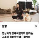 리탐빌 | 리탐빌 요가명상 센터 (고소영 유튭)