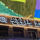 운동하는 코끼리 이미지