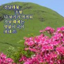 소월(素月) 이미지