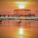 바다위에 이미지