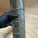 두손파스텔 이미지