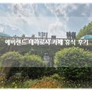 에버랜드 카페 추천 테라로사 카페 나만의 힐링 시간 카페 후기!