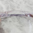 안경, 진정성(묵동점) 이미지