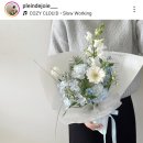 플랑드주아 이미지