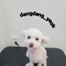 보리미용실 이미지