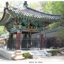 관음사 가는길 이미지