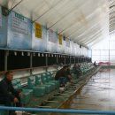 한샘청수낚시터 이미지