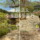 아침봄빵집 | 가평 아침고요수목원 &amp; 아침고요동물원｜서울 근교 아기랑 가볼만한 곳