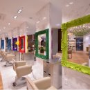 프로헤어 이미지