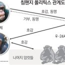 에버랜드에도 ‘미실’ 있다 이미지