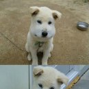 몽글몽글 이미지