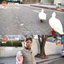 오리세상 이미지