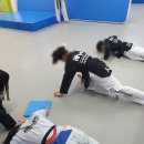 효태권도 이미지