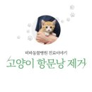 비바동물병원 이미지