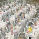 오산초등학교병설유치원 이미지