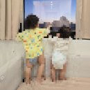 대오정비 | [리뷰] 하이엔 소아청소년과 고열로 인한 2박 3일 입원 후기(rsv.. 레전드)