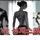 성지스포렉스 이미지
