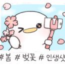 복수 한우음식특화거리 이미지