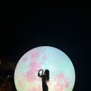 순종관