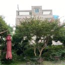 샐러드바스켓부경대점 | <부산/경성대 부경대> 샐러드 바스켓 부경대점 내돈내산 솔직한 후기