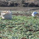 일기경로당 이미지