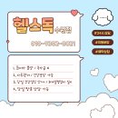 토이푸들분양 푸들분양 토이푸들입양 실버푸들분양 미니말티즈분양 말티즈입양 이미지