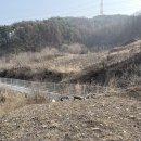 신월2리 이미지