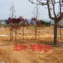 여좌지구어린이놀이터 네이버블로그