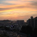 프로스펙스거제 | 서울 서울 서울