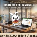 부산톡톡체험단