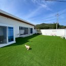 플러피 애견 풀빌라 이미지