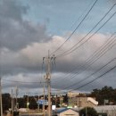 애월에서 | 제주 애월 이자카야 이와에 후기｜애월에서 술 한잔하기 좋은 곳